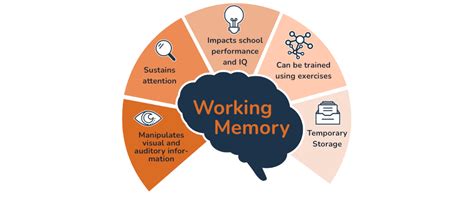 The Impact of Working Memory Training on Children’s Cognitive 